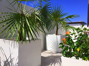 Square Planter Ideas | Size Guide & Pro Planting Tips