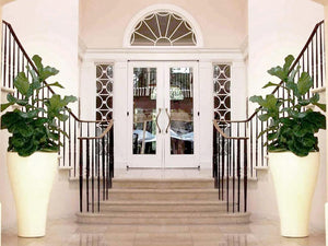 5 Expert Indoor Planter Ideas For Container Garden Perfection!