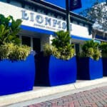 What Is Commercial Landscape Design? 4 Pro Tips For Commercial Properties!