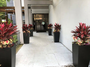 Eleve su entrada: use maceteros altos en la puerta de entrada para una cálida bienvenida