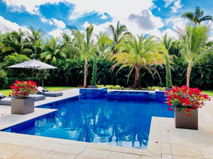 De la piscina al paraíso: grandes maceteros de exterior revelan un mundo de lujo y estilo