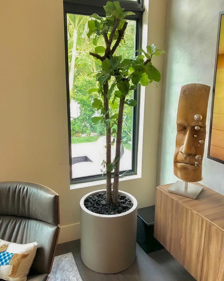 Instalación de maceteros de fibra de vidrio | Guía experta: del llenado al riego