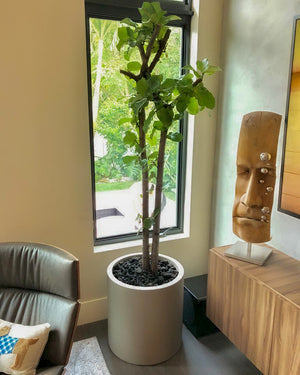 Instalación de maceteros de fibra de vidrio | Guía experta: del llenado al riego