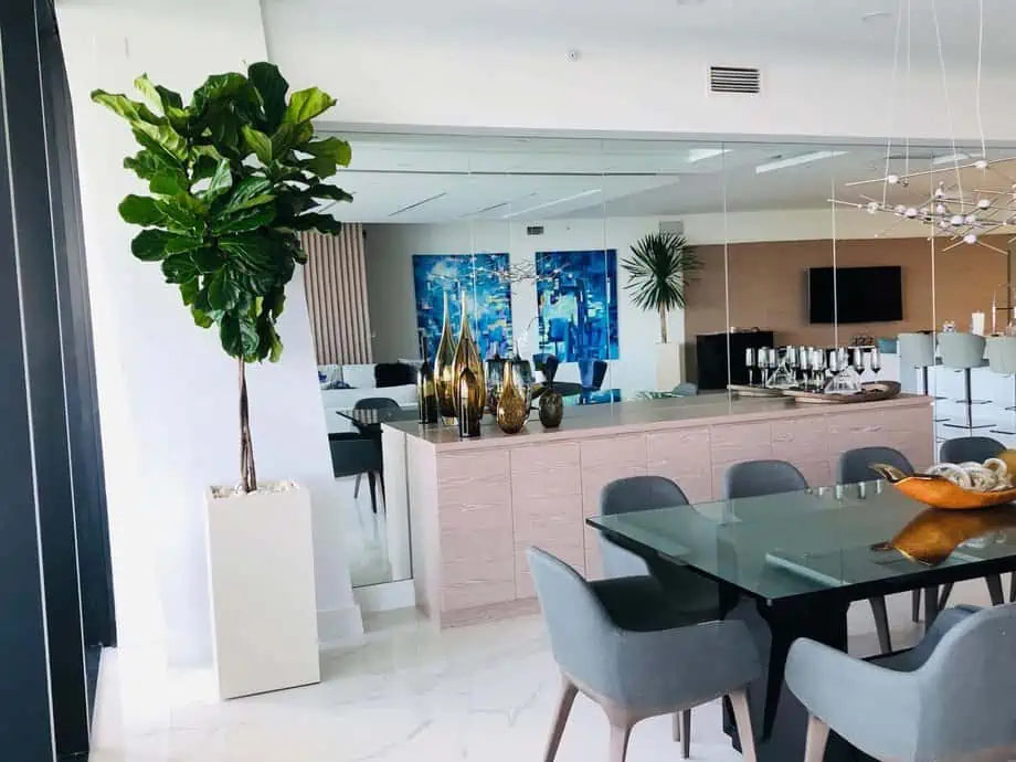 10 árboles pequeños para macetas | ¡Resumen de expertos de todas sus preguntas sobre árboles en macetas!