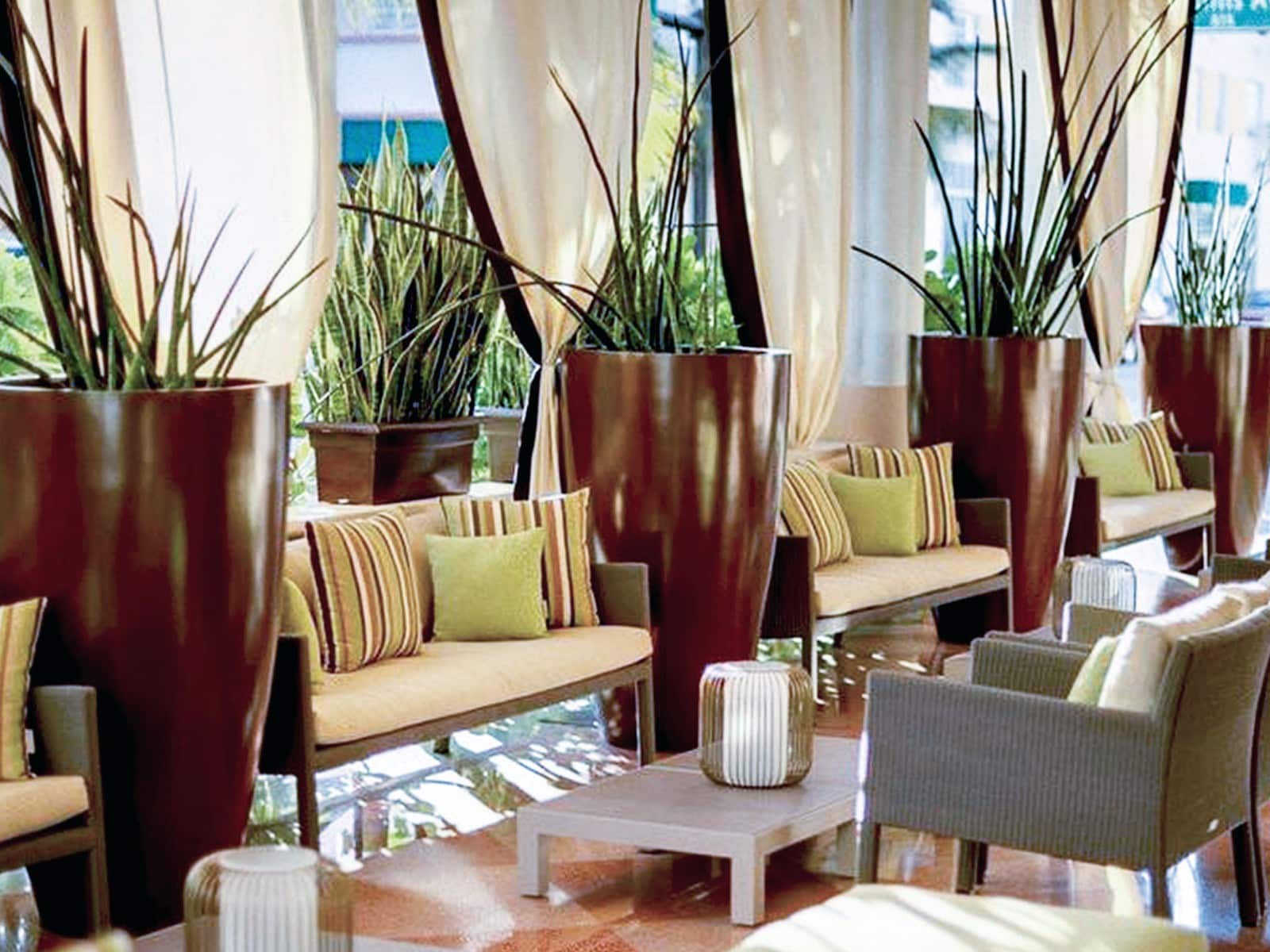 Trayendo la Naturaleza al Interior: Descubre Grandes Ideas para Maceteros de Interior Extra Grandes