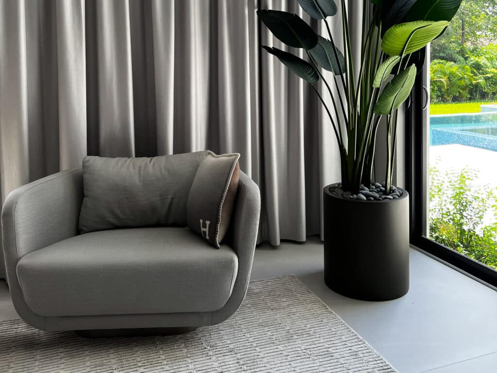 10 Plant Room Ideas | All You Need To Know About An Indoor Plant Room!