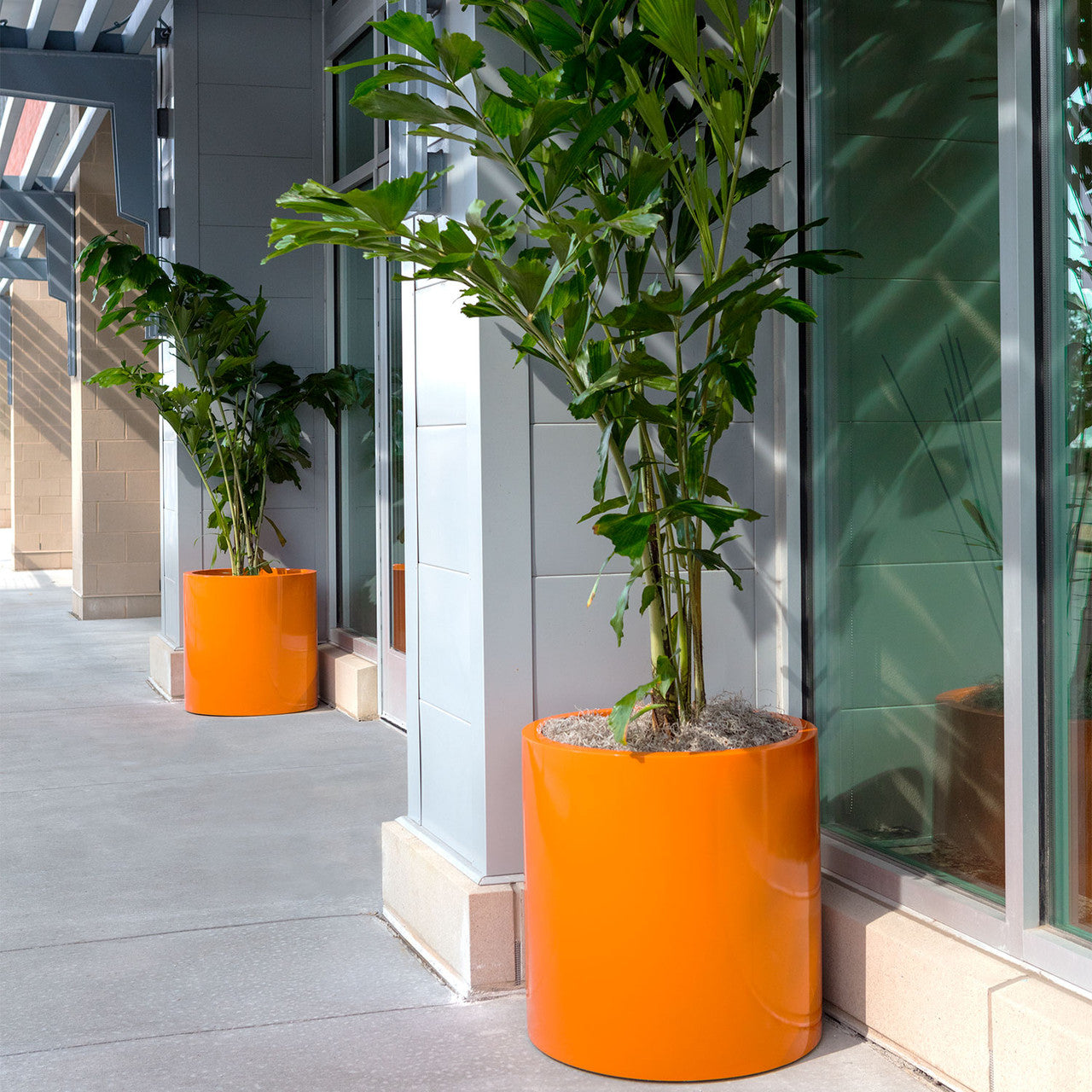 Guía de formas de maceteros | Por qué son importantes las formas de las macetas