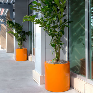 Guía de formas de maceteros | Por qué son importantes las formas de las macetas