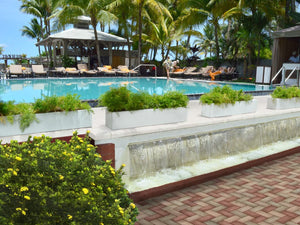 Jardineras grandes para la perfección del área de la piscina | Ideas de jardineras de piscinas para complejos turísticos y propietarios de viviendas 2024