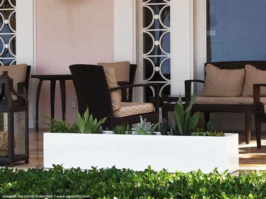 Las mejores plantas de porche con mosquitero e ideas para el follaje frondoso de la puerta de entrada