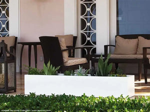 Las mejores plantas de porche con mosquitero e ideas para el follaje frondoso de la puerta de entrada