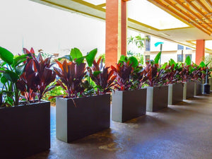 3 Professional Tips For Low Maintenance Commercial Landscaping | Improve The Curb Appeal Of Any Commercial Property!