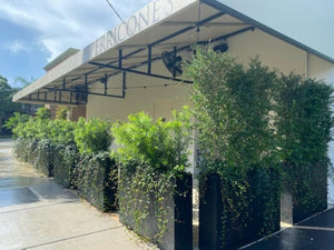 Elevate Your Exterior Space: The Transformative Magic of Tall Planters Outdoor