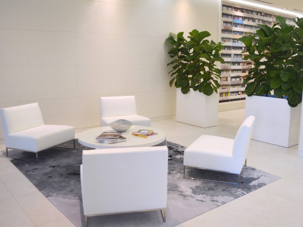 Espacios verdes: transforme su entorno con las grandes jardineras rectangulares de JBD Concepts