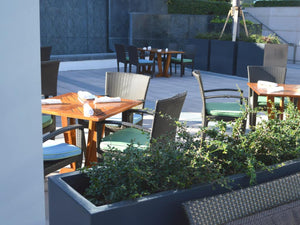 7 Best Restaurant Patio Planters | How Restaurants Increase Revenue With Plants