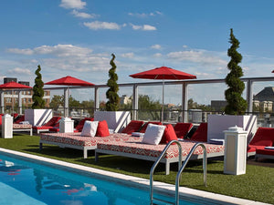 5 Great Tips For Pot Plants Around Pool Areas | An Expert Guide On Pool Landscaping