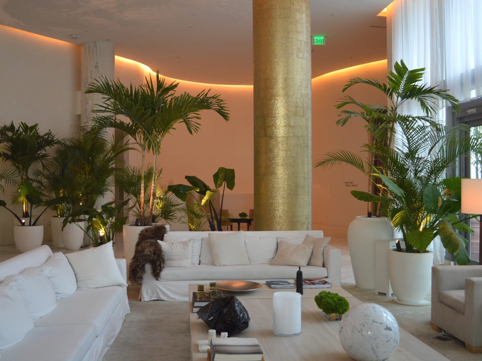 Cómo organizar plantas en la sala de estar | 5 ideas y consejos profesionales para la decoración de interiores