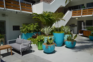 Ideas de maceteros redondos | Guía de tallas y consejos profesionales para plantar