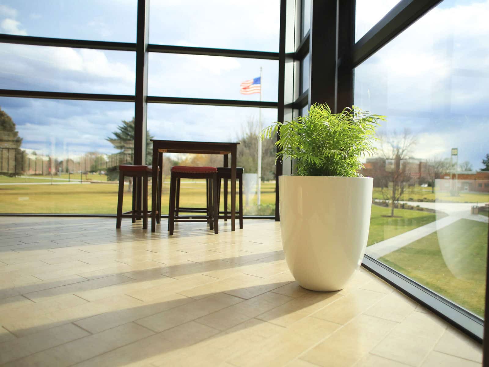 5 Sensational Large Planter Ideas! Guide To Using Large Planters