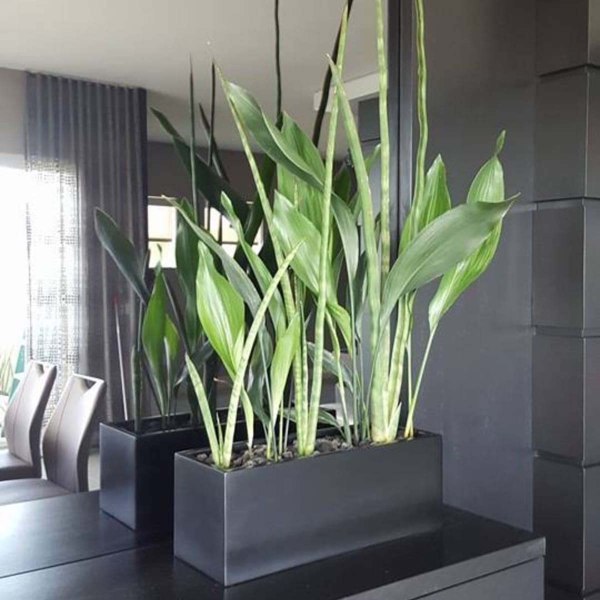 Maceta de mesa rectangular Tupelo