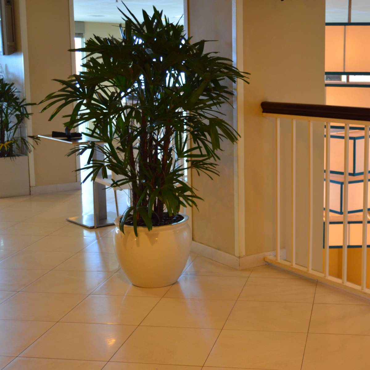 Maceta de pecera de Shanghai