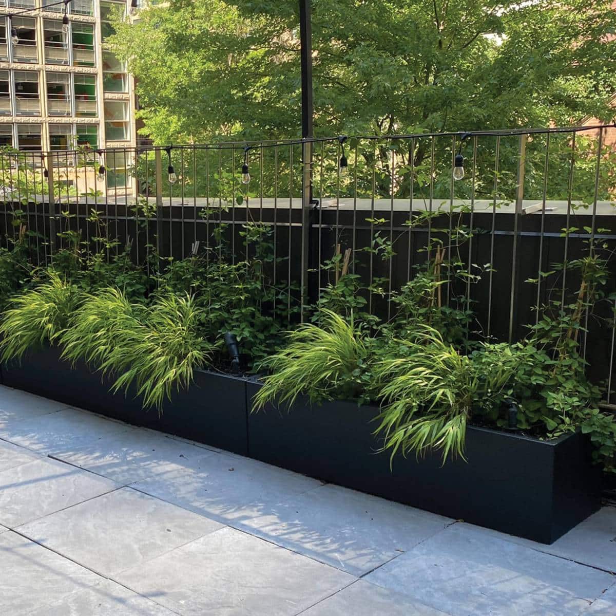 Maceta rectangular ancha Amberes