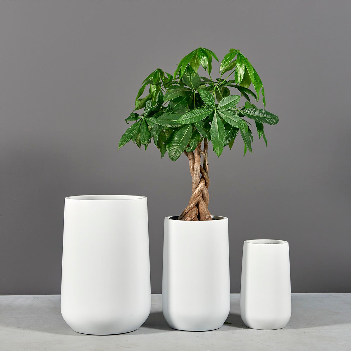 Hayden Tapered Round Planter
