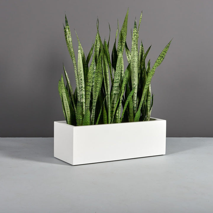 Cuba Low Rectangular Planter