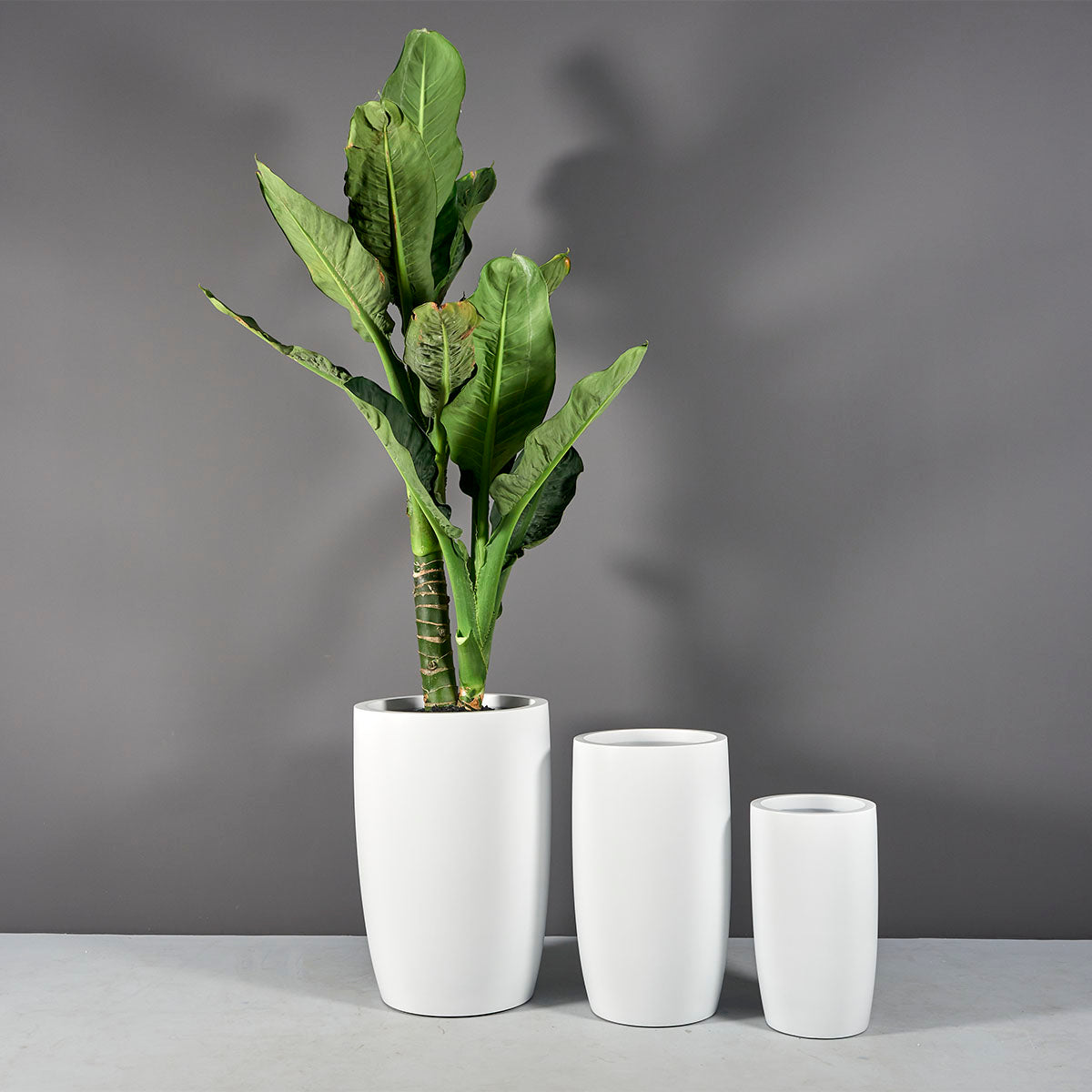 tall indoor pot planter Lisbon Tall Round Tapered Planter – JBD Concepts