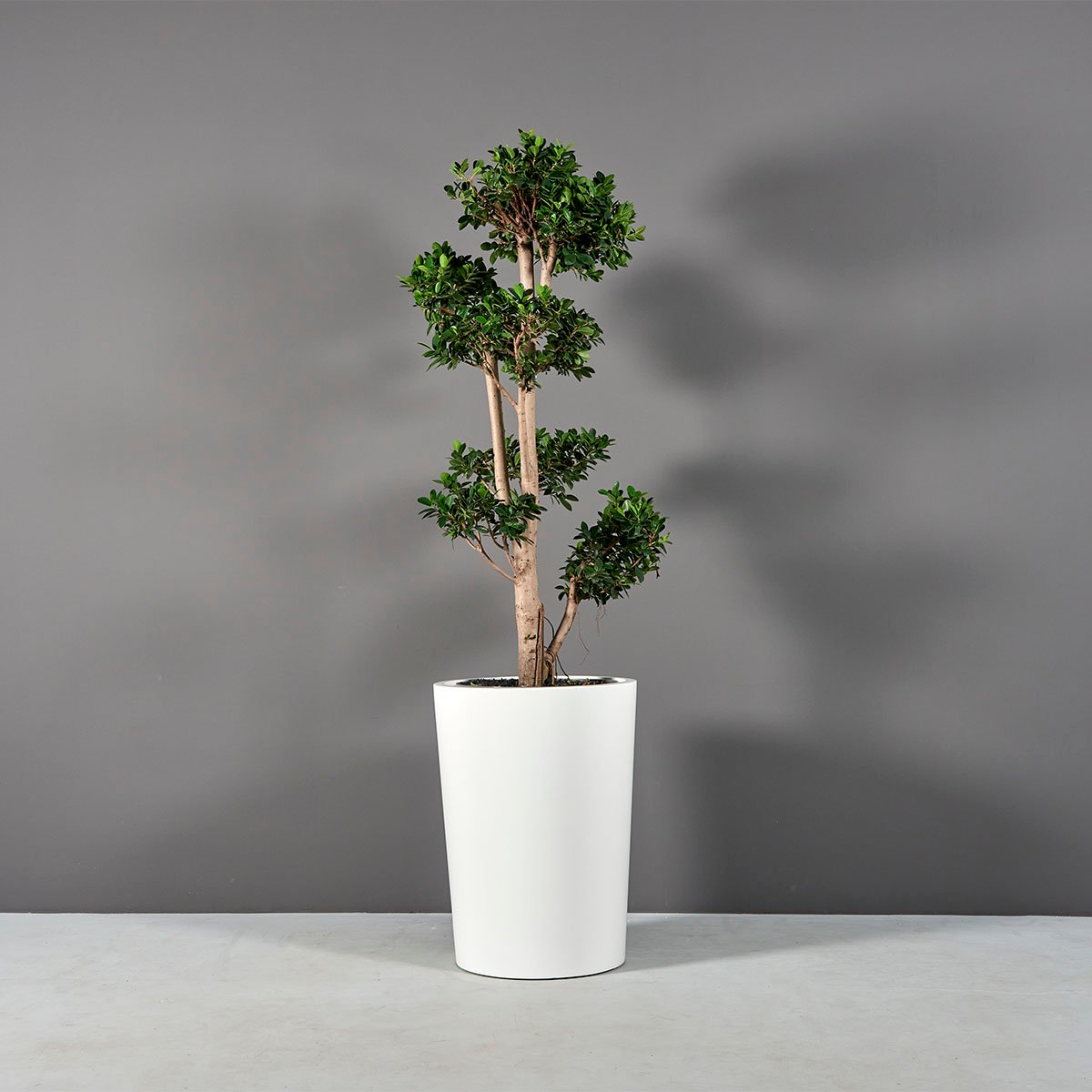 Maceta redonda cónica Tegel