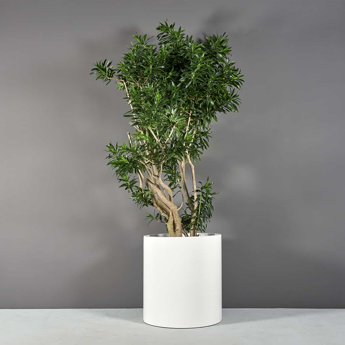 Maceta cilíndrica Rio Grande