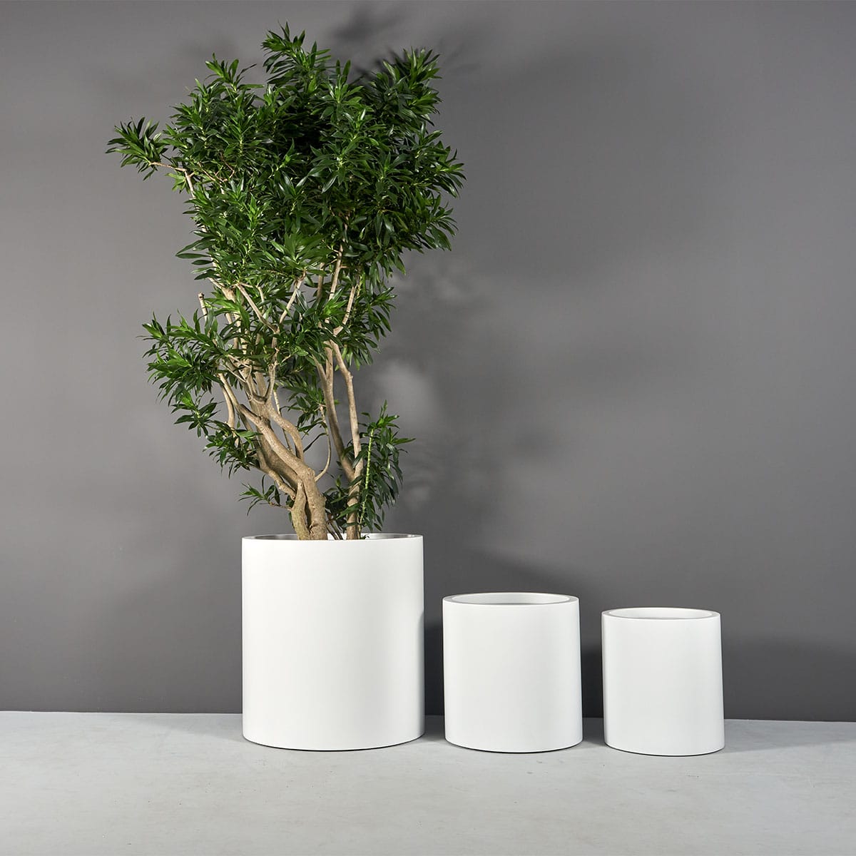 Cylinder Planter