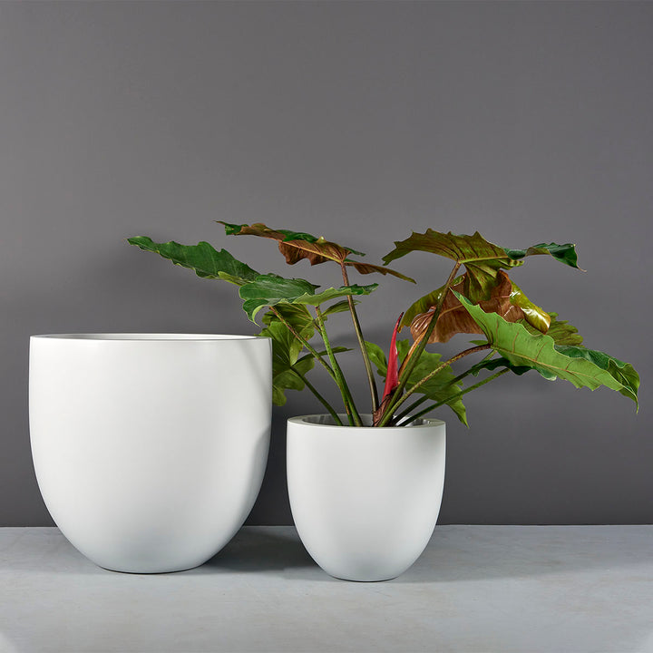 Alzira Bowl Planter