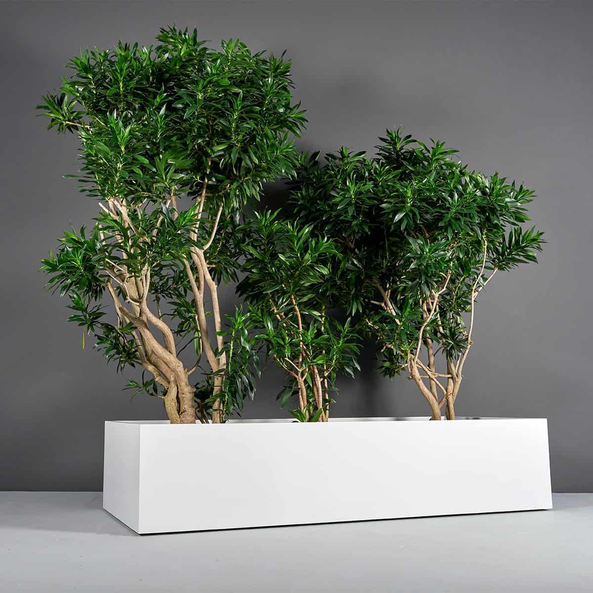 Maceta rectangular grande extra ancho Selenge