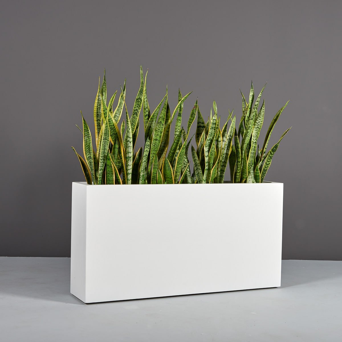 Maceta rectangular Hollywood