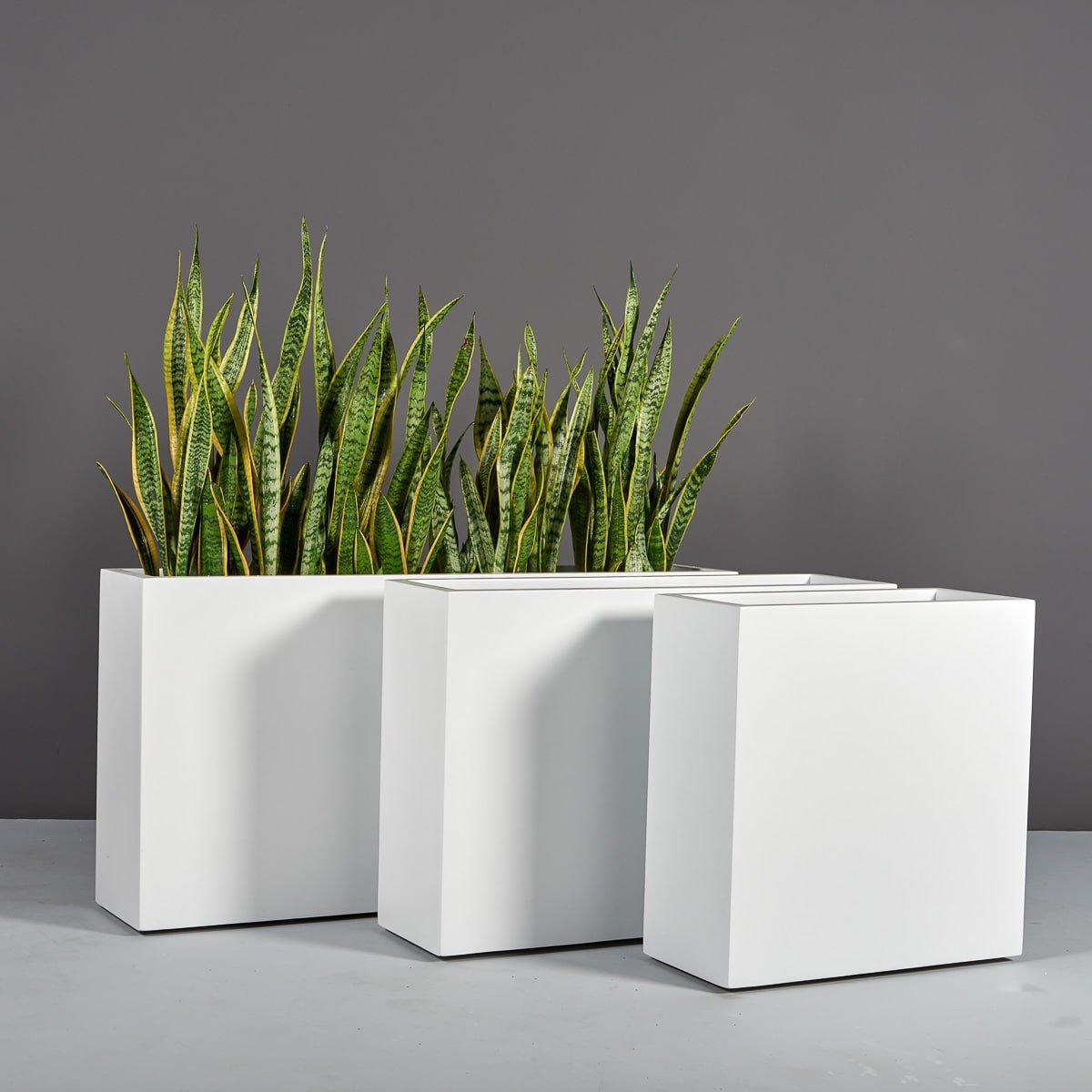 white rectangle planter indoor Hollywood Rectangular Planter – JBD Concepts