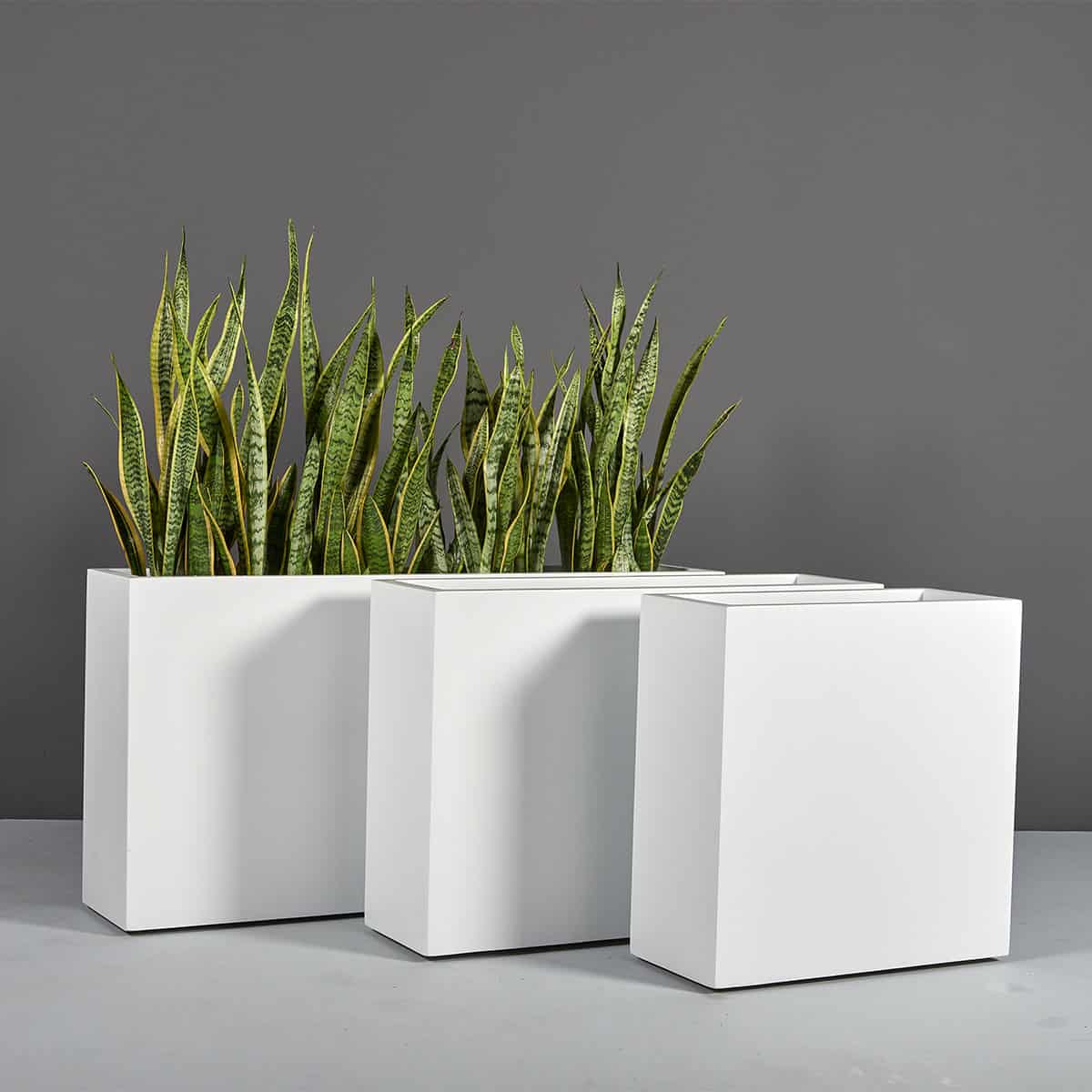 indoor rectangle plant pot Milano Narrow Rectangular Planter – JBD Concepts