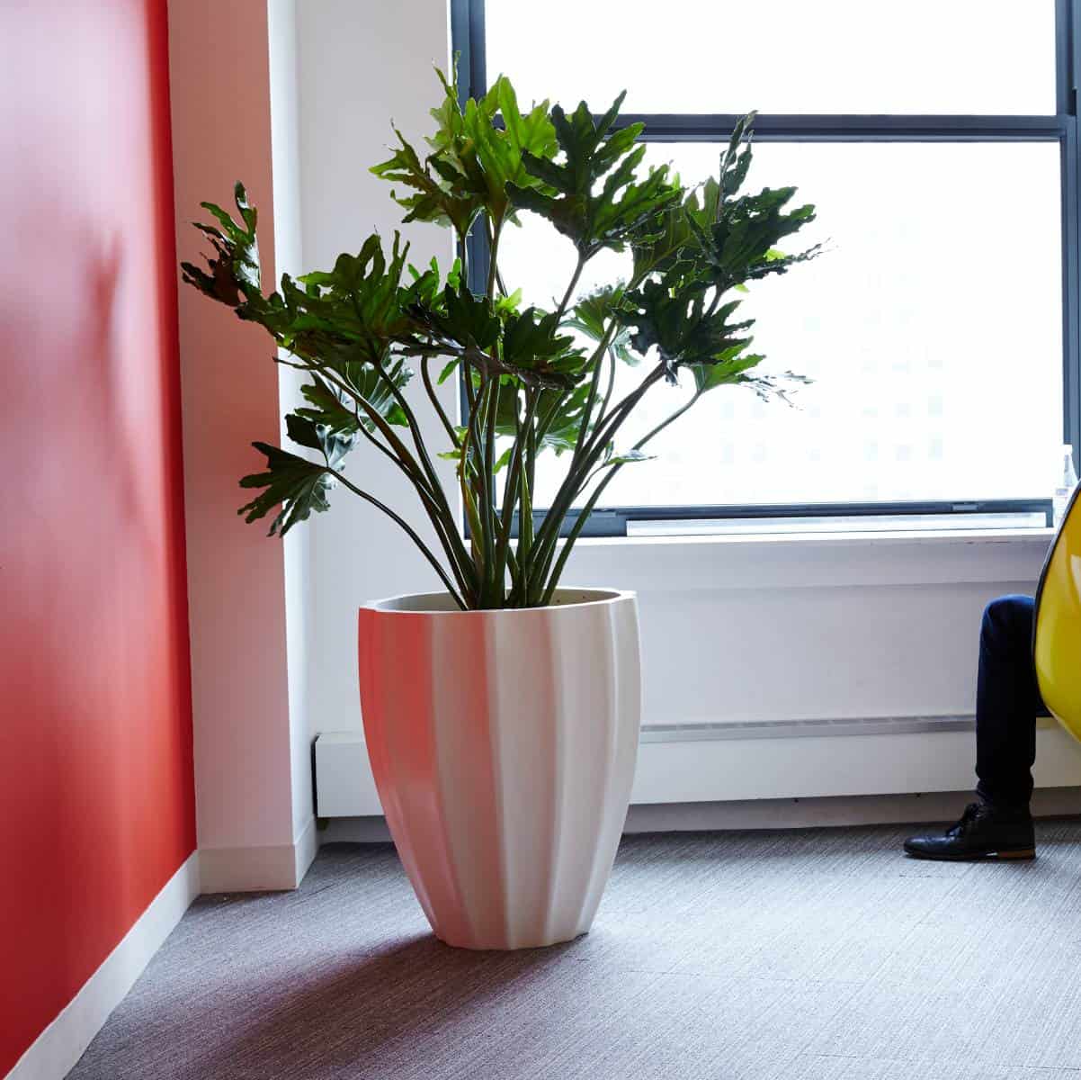 round indoor planter Alicante Fluted Round Planter – JBD Concepts