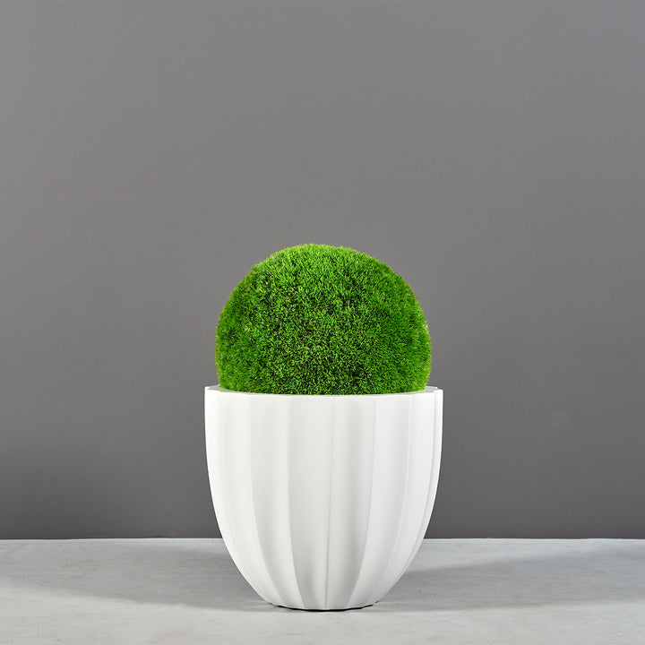 Santa Barbara Low Fluted Round Planter