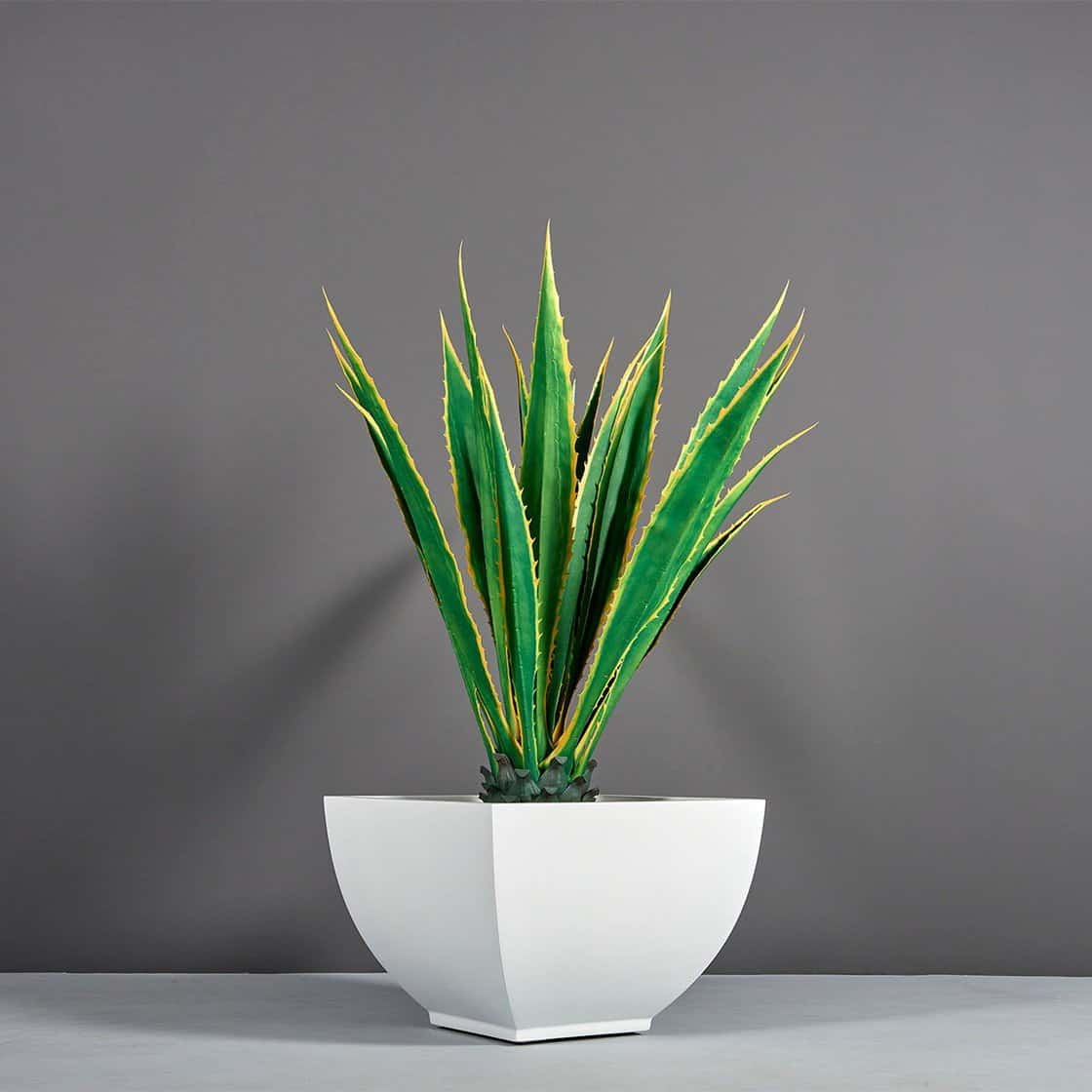 Kathryn Square Tapered Planter