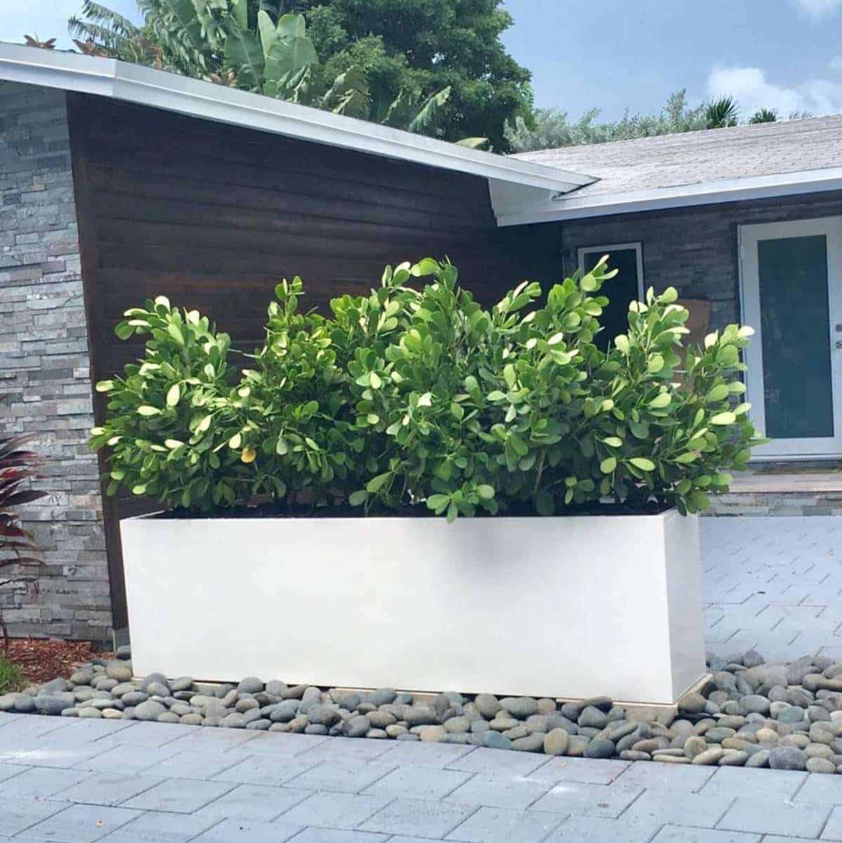extra large planting pot Hudson Extra Long Rectangular Planter – JBD Concepts