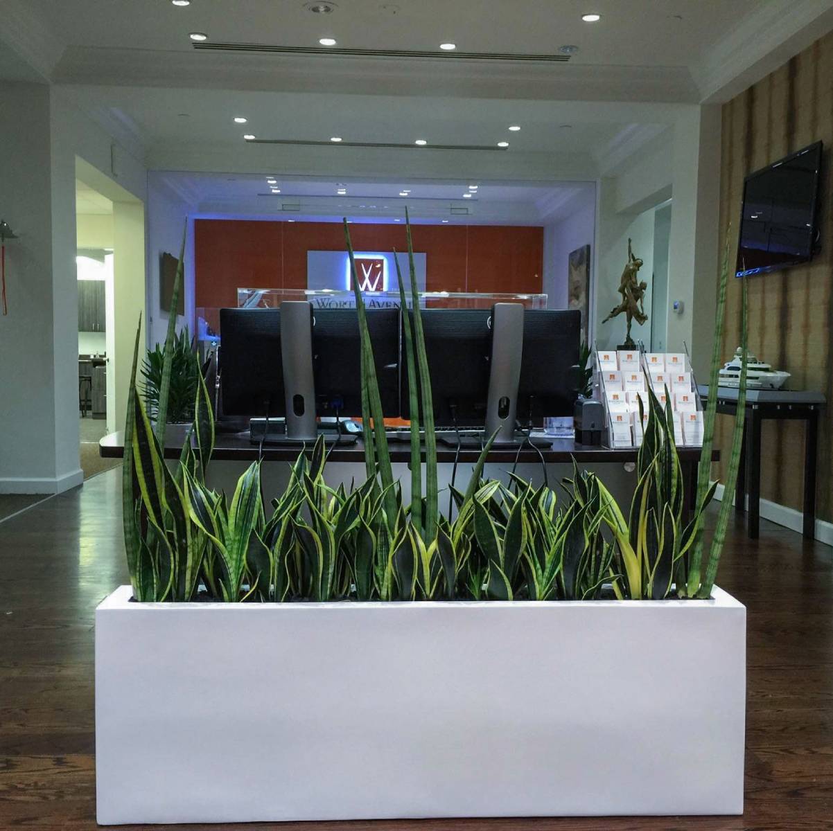 Maceta rectangular estrecha Camoux