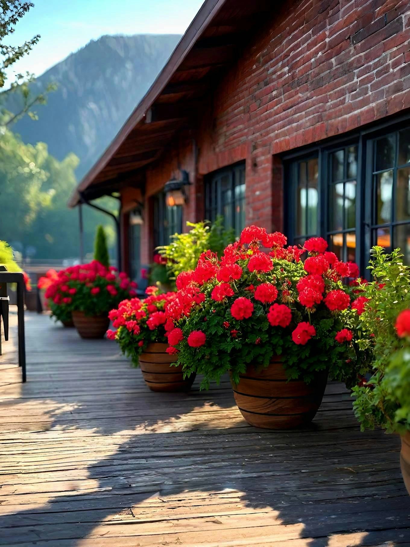 Maceta cónico redondo alto Valencia