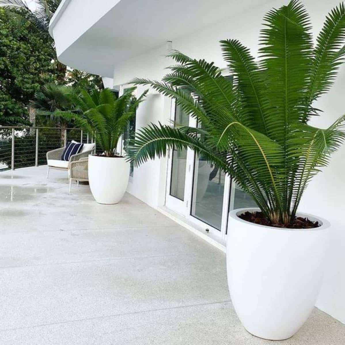 Maceta cónico redondo alto Valencia