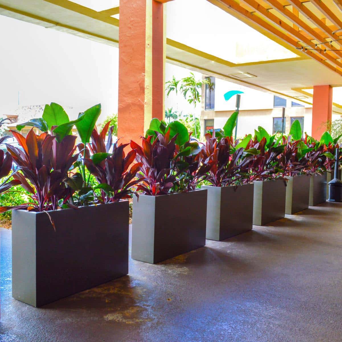 rectangular planter box indoor Tolga Rectangular Planter – JBD Concepts