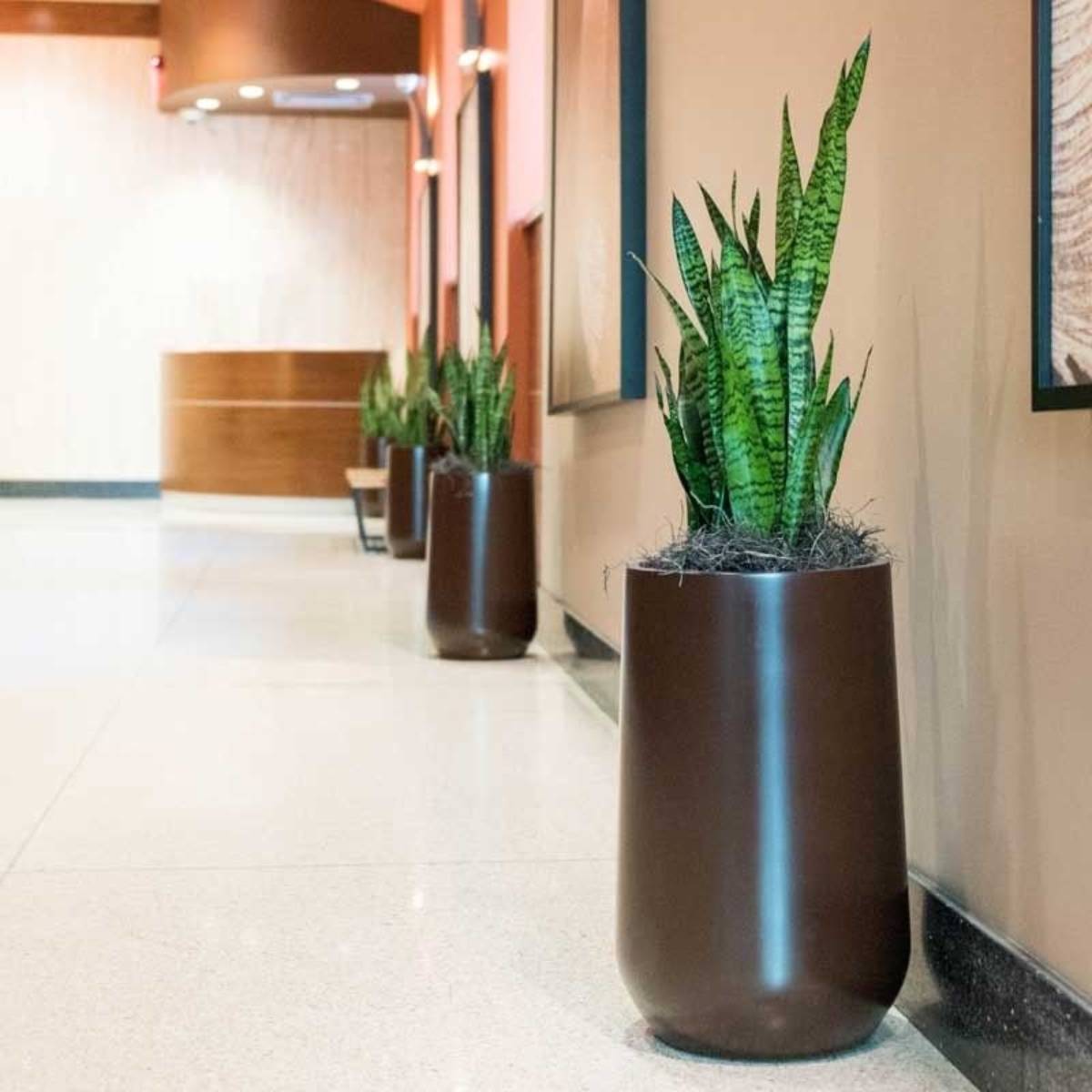 Hayden Tapered Round Planter