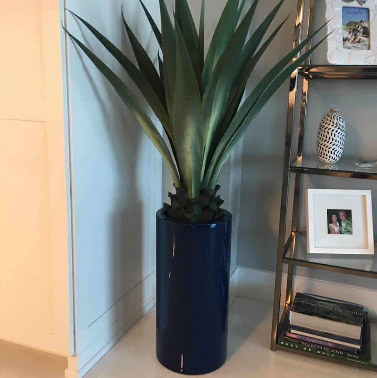 Maceta cilíndrica Corry