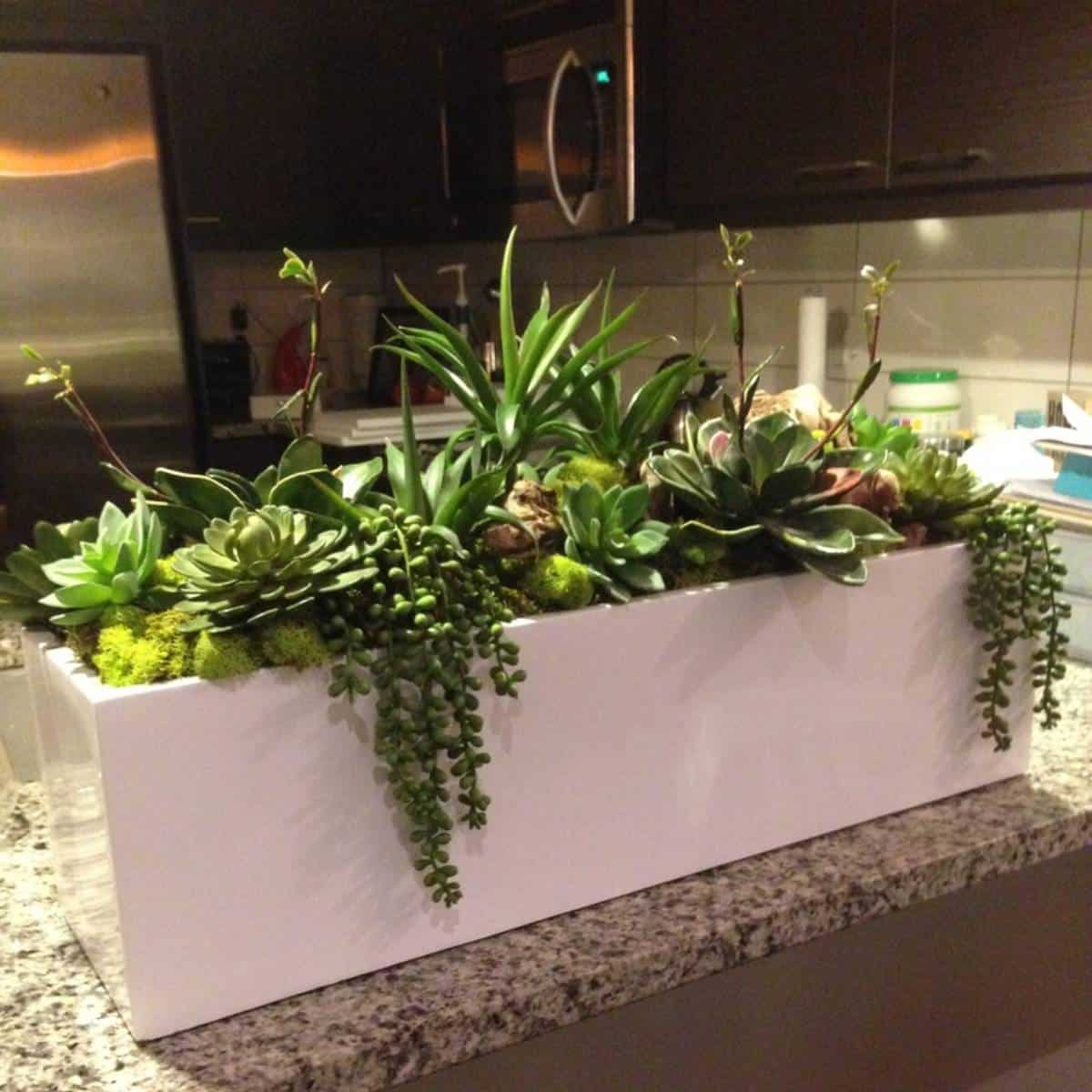 long indoor planter box Vicksburg Rectangular Tabletop Planter – JBD Concepts