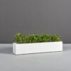 69210.MBW_.Salon_.Angle2_.wplants-1