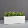 69213.54.MBW_.Camoux.wplants